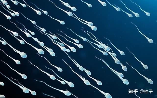 男性补硒补多少含量的（硒含量高的食物是）-硒宝网