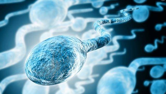 男性补硒补多少含量的（硒含量高的食物是）-硒宝网