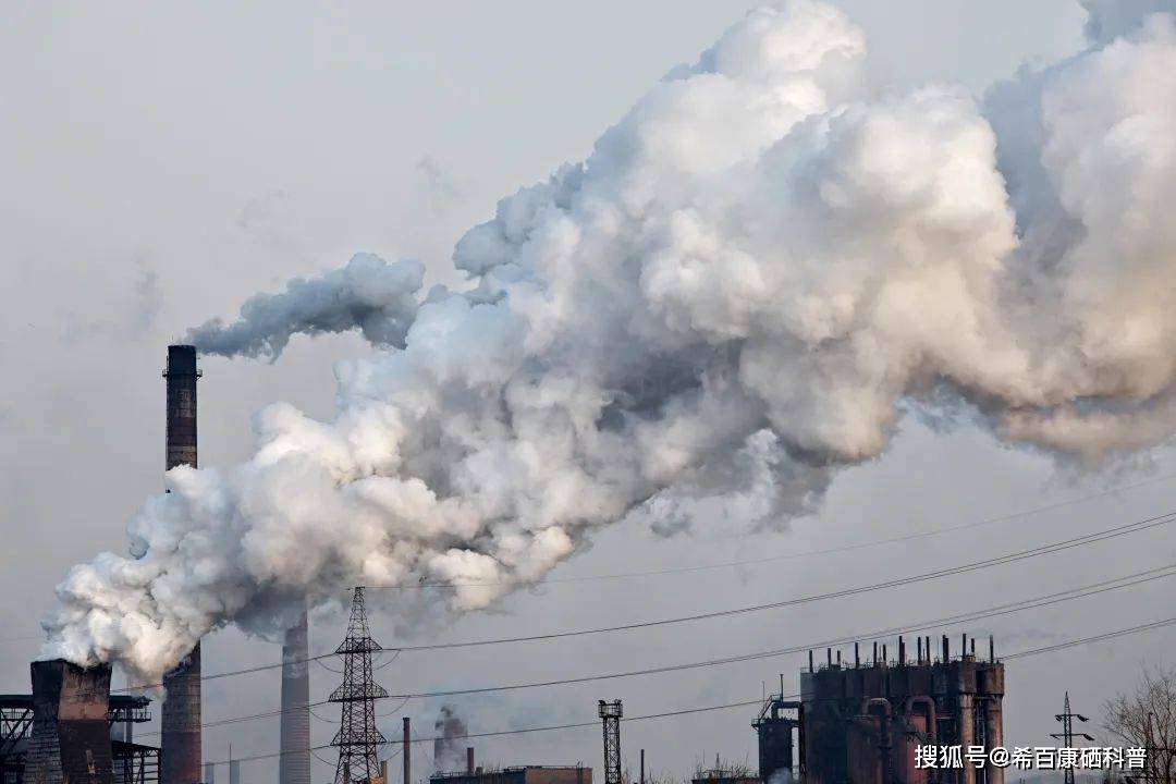 5.17 全民补硒日(全民补硒517)-硒宝网