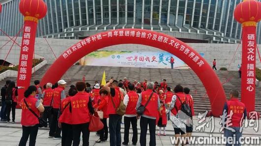 2017健康补硒科普（科学补硒健康中国）-硒宝网