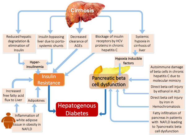 保肝护肝补硒什么硒好（硒?；じ卧嗟乃拇蠊δ埽?硒宝网