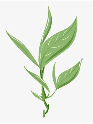 开阳富硒茶是是补硒吗(开阳富硒茶多少钱一斤)-硒宝网