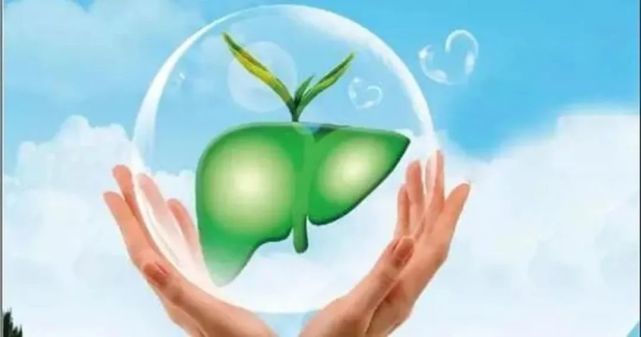 保肝护肝补硒什么硒好(硒补保肝护肝好还是不好)-硒宝网