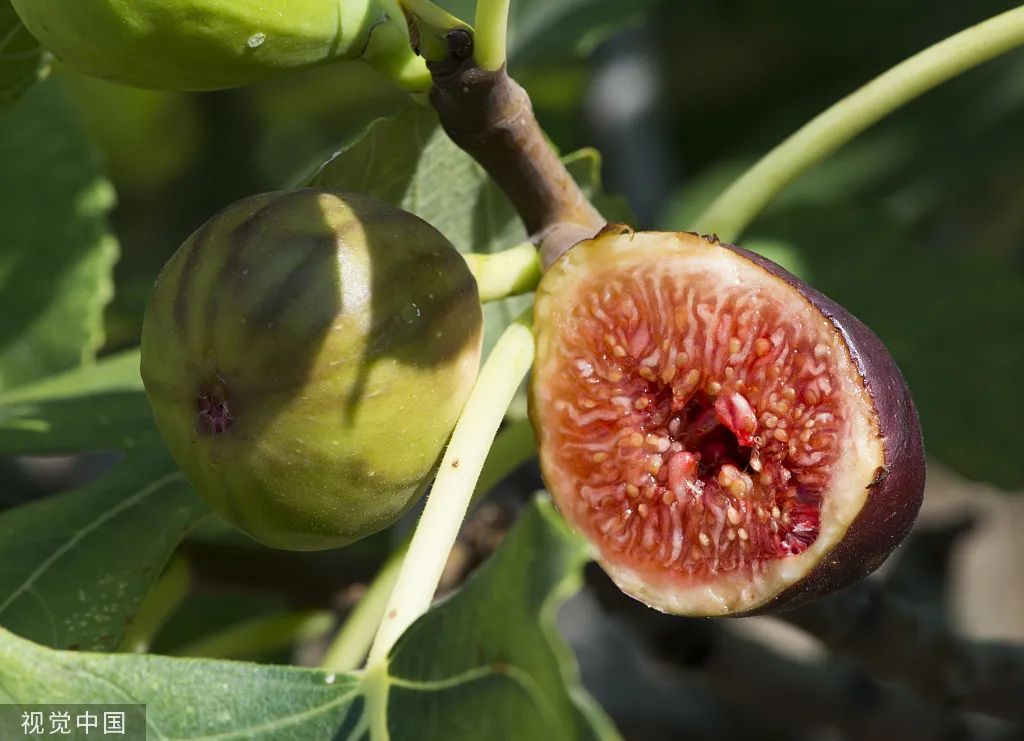 补硒同时需要补钾吗吗(补需要硒补钾的药物)-硒宝网