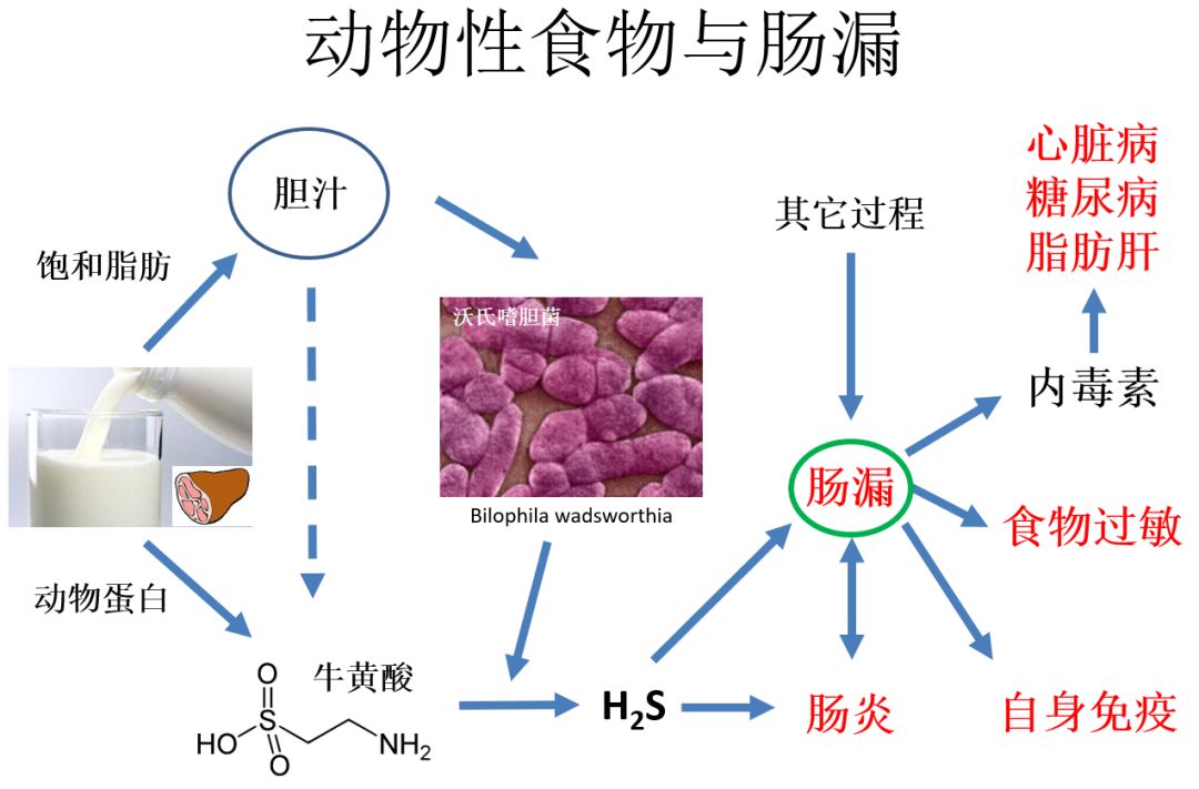 甲减是缺硒还是要补硒(甲减缺硒吃什么食物补得快)-硒宝网