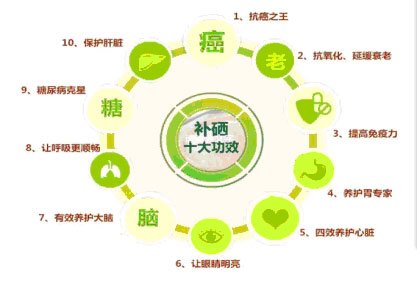 补硒就是补阳气吗对吗（柏维力补硒酵片是骗局）-硒宝网