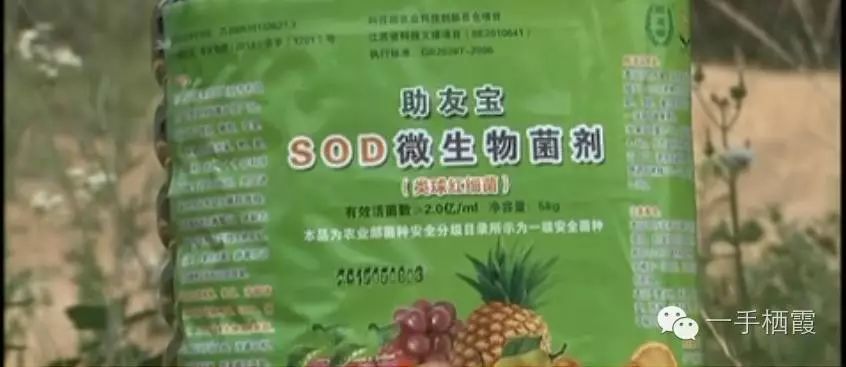 减肥补硒好还是补钠好(补硒减肥吗)-硒宝网