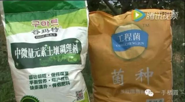 减肥补硒好还是补钠好(补硒减肥吗)-硒宝网