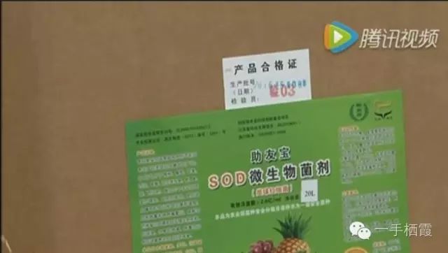 减肥补硒好还是补钠好(补硒减肥吗)-硒宝网