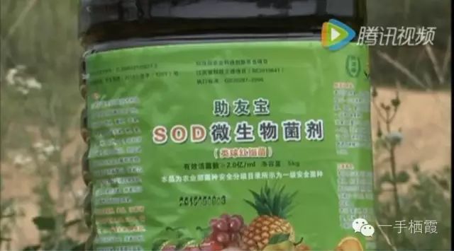 减肥补硒好还是补钠好(补硒减肥吗)-硒宝网