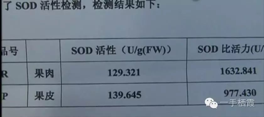 减肥补硒好还是补钠好(补硒减肥吗)-硒宝网