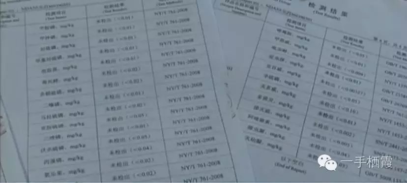 减肥补硒好还是补钠好(补硒减肥吗)-硒宝网