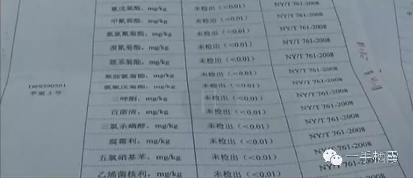 减肥补硒好还是补钠好(补硒减肥吗)-硒宝网
