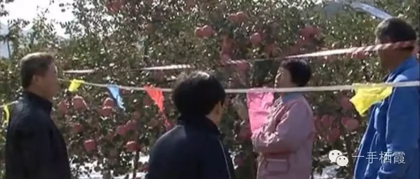 减肥补硒好还是补钠好(补硒减肥吗)-硒宝网