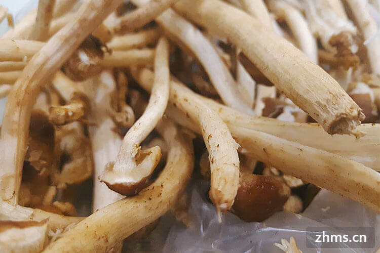 儿童补镁补硒吃什么药(补镁药儿童吃硒片好吗)-硒宝网