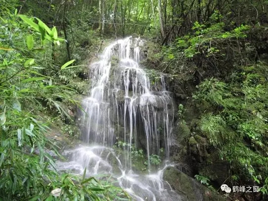 喝含硒的水可以补硒不(补硒的水)-硒宝网