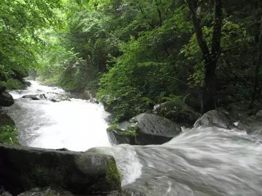 喝含硒的水可以补硒不(补硒的水)-硒宝网