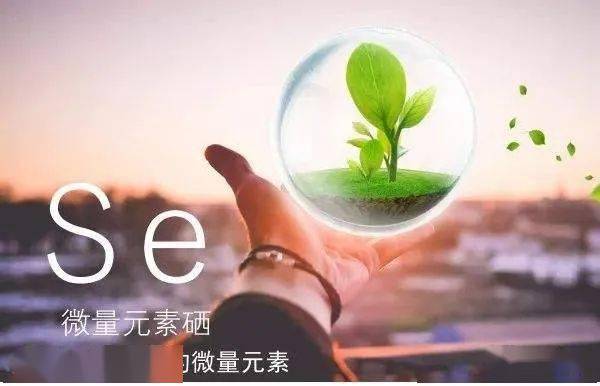 身体补硒还是补氨基酸（补氨基酸身体硒的作用）-硒宝网