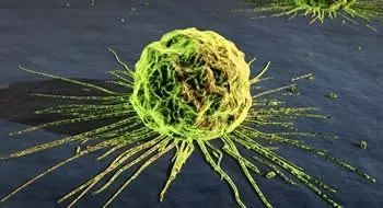 糖尿病人补硒 怎么补(补硒)-硒宝网