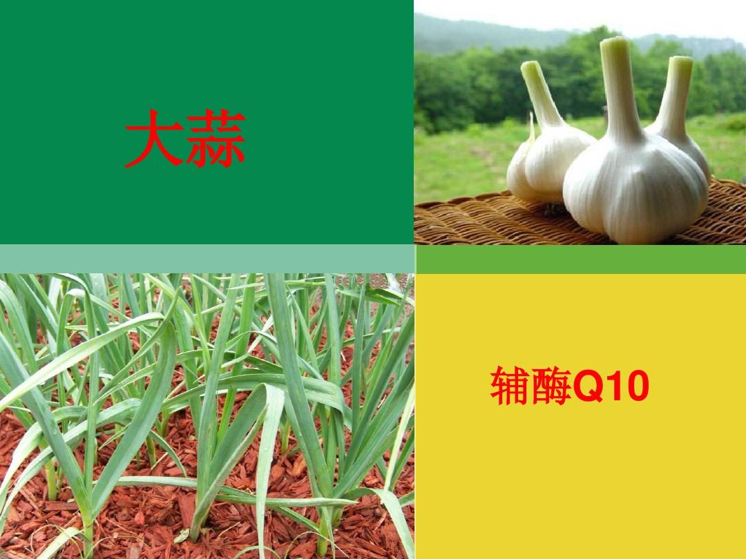 补硒还是大蒜素含硒多（大蒜硒的功效）-硒宝网