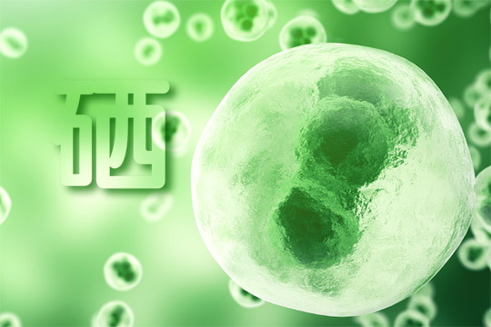 富硒食用菌粉能补硒吗(能补粉食用菌富硒硒吗)-硒宝网