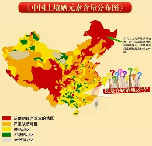 补硒可以补到血液里吗(什么东西可以补硒)-硒宝网