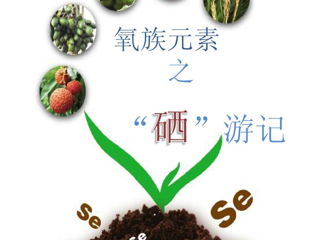 卖的保健品硒能补硒吗(补硒的保健品可以吃吗)-硒宝网