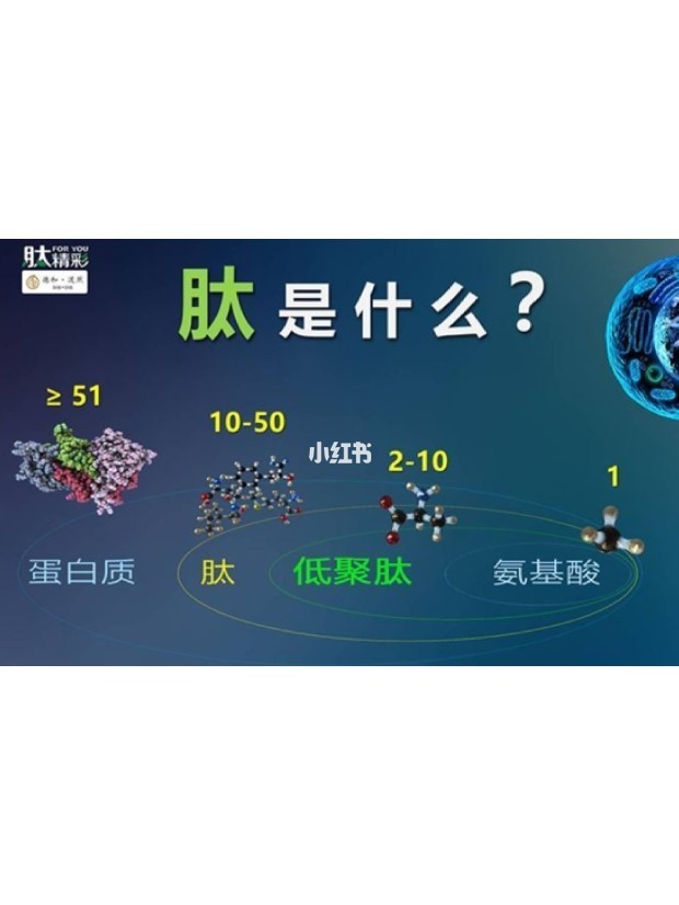 补肽和补硒哪个最重要(补充硒肽有啥好处)-硒宝网