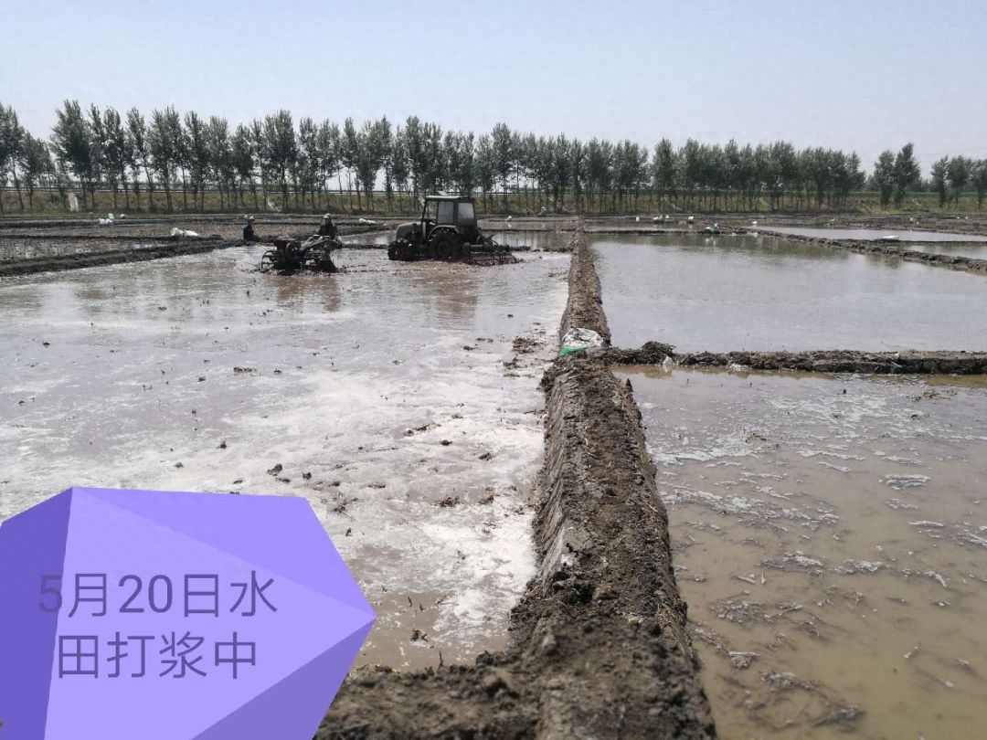 含硒的矿泉水能补硒吗(硒矿泉水的好处)-硒宝网