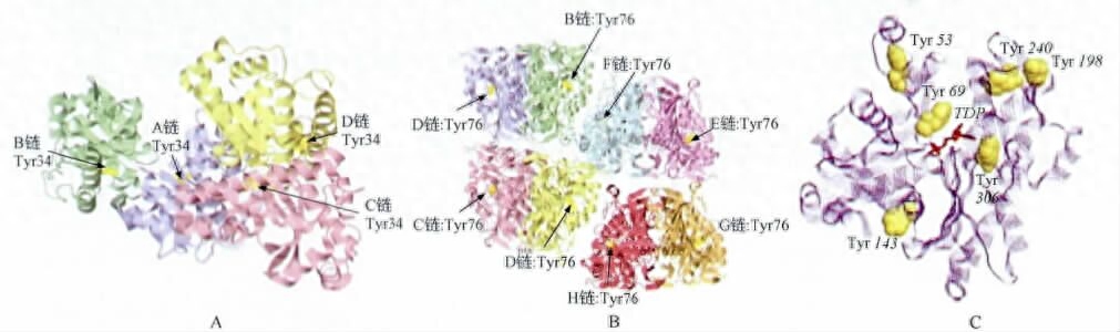 补硒和补肽有什么不同(硒和肽同时补有什么好处)-硒宝网