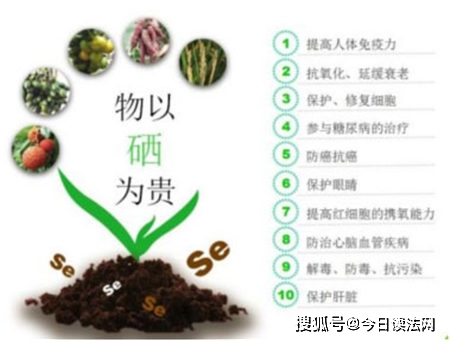 全民补硒工程有奖问答(全民补硒工程委员会)-硒宝网