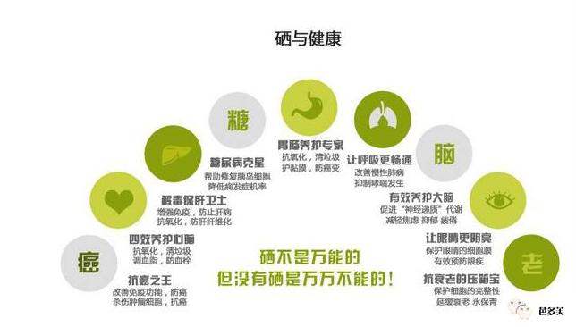 肺癌补硒多少毫克好呢（肺癌补硒管用吗）-硒宝网