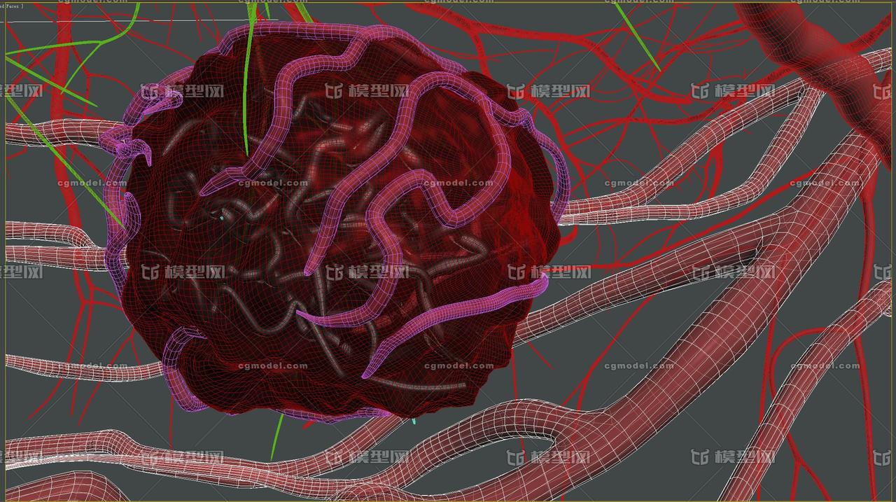 哪些药物可以补硒元素(硒元素能和别的药物一起吃吗)-硒宝网