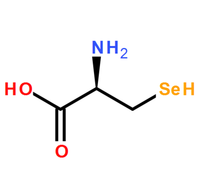 什么食物才能补硒元素(补充硒元素的好处)-硒宝网