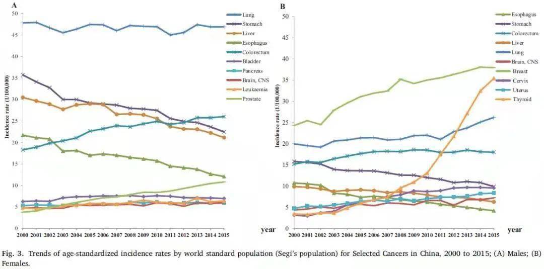 补硒可以预防哪些疾?。ú刮苡行гし溃?硒宝网