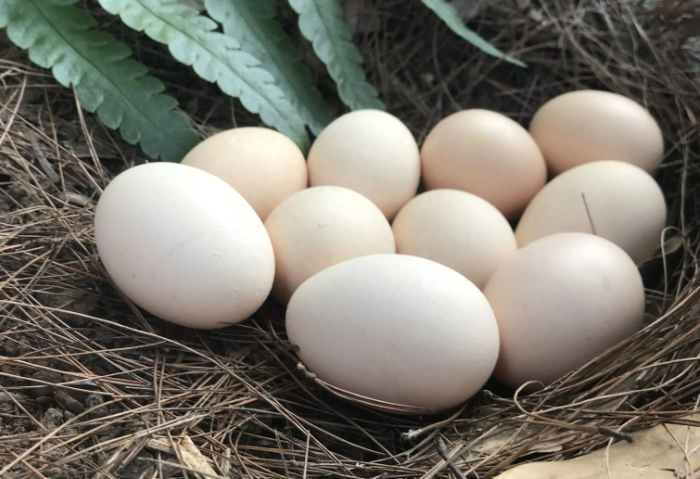 过量补硒会有什么害处(过量补硒对身体有哪些损害)-硒宝网