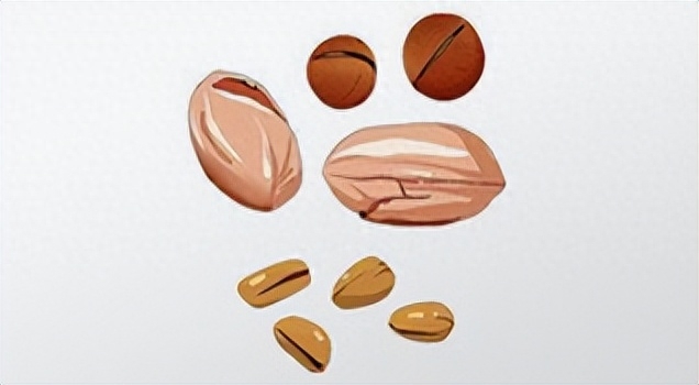 甲亢每天补硒多少毫克（每天补甲亢硒多少克）-硒宝网