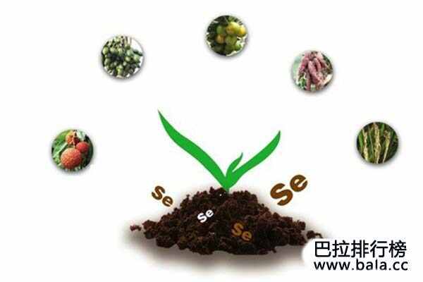 热门补硒产品测评视频(硒产品图片)-硒宝网