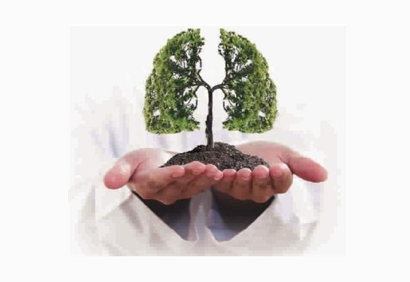 肺癌患者如何合理补硒（肺癌补硒吃什么药）-硒宝网