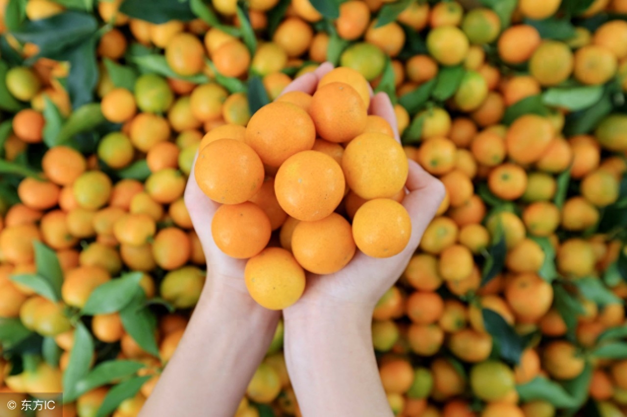 科学补硒优秀执行城市(硒科学奖项)-硒宝网