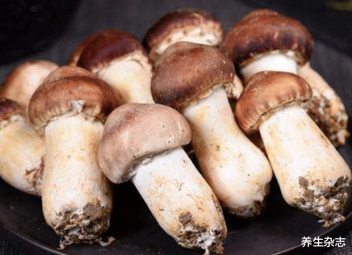 感染hpv补硒吃什么(hpv患者吃硒能改善吗)-硒宝网