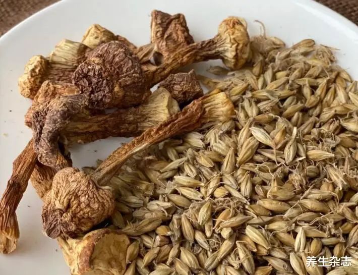 感染hpv补硒吃什么(hpv患者吃硒能改善吗)-硒宝网