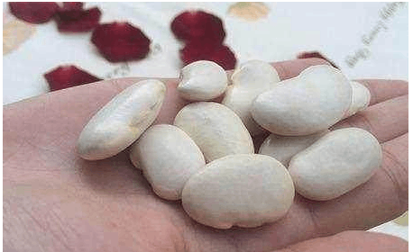 肿瘤患者每天补硒多少（乳腺癌患者需要补硒吗）-硒宝网