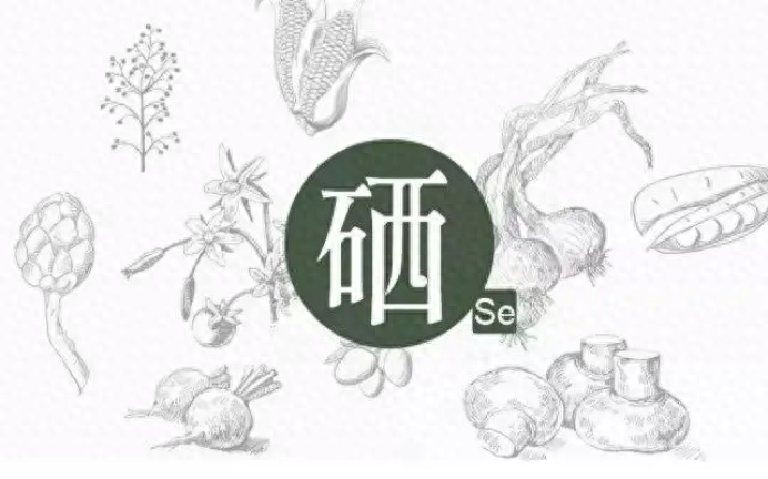 澳洲补硒元素含量多少（北京土壤硒元素含量分布图）-硒宝网