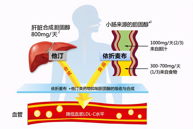 促甲状腺激素偏高补硒(促甲状腺激素偏高图)-硒宝网