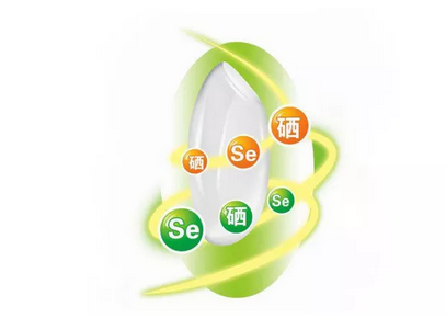 每天补多少硒元素合适(人体缺乏硒元素危害)-硒宝网