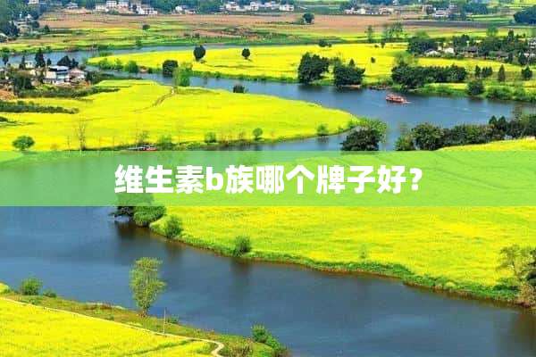 儿童补硒哪个牌子好点(什么牌子的补硒效果比较好的)-硒宝网