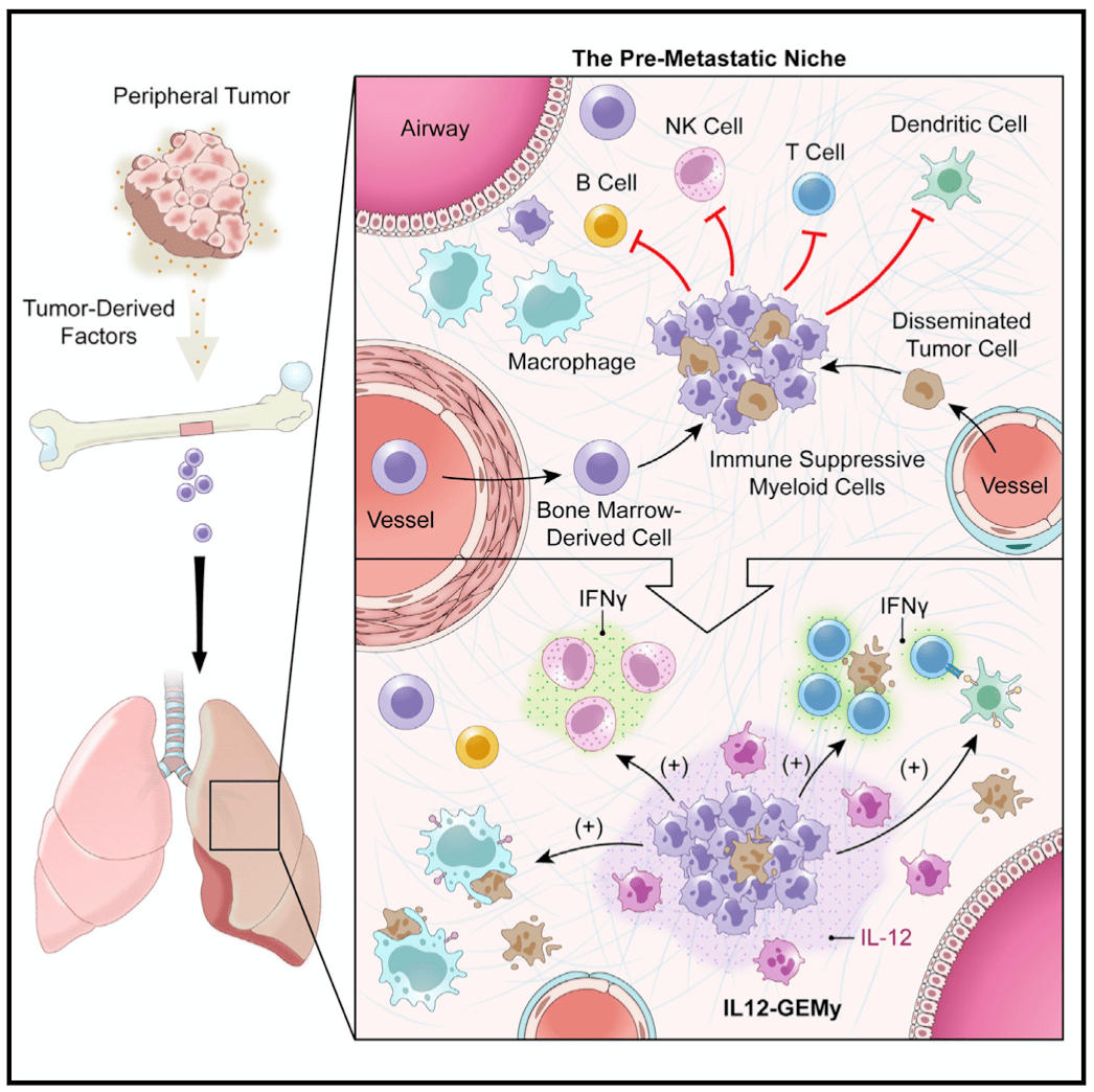 肿瘤病人补硒需要多少（肿瘤病人补硒必要吗）-硒宝网