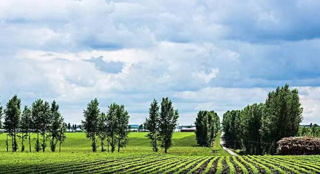 甲状腺补硒食物有哪些(补甲状腺食物硒有什么作用)-硒宝网