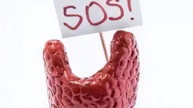 甲状腺补硒食物有哪些(补甲状腺食物硒有什么作用)-硒宝网